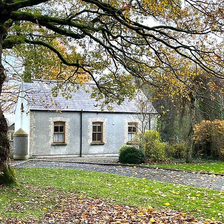 Country Garden House Holiday Homes 밸리머니 외부 사진